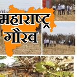 चहाडी येथे इलेक्ट्रिक शॉर्ट सर्किटमुळे केळी बागेला आग; ठिबक सिंचनासह पिकाचे मोठे नुकसान