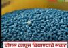 चोपडा तालुक्यातील वर्डी गावातील दोन चोपड्यातील एका आरोपीसह चौघांवर जामनेरात गुन्हा दाखल 9.15 लाखांचे बेकायदेशीर HTBT बियाणे जप्त मास्टरमाईंड पोलीसांच्या ताब्यात येणार का ?