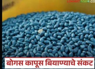 चोपडा तालुक्यातील वर्डी गावातील दोन चोपड्यातील एका आरोपीसह चौघांवर जामनेरात गुन्हा दाखल 9.15 लाखांचे बेकायदेशीर HTBT बियाणे जप्त मास्टरमाईंड पोलीसांच्या ताब्यात येणार का ?